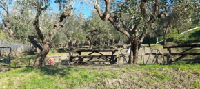 Agriturismo Cele